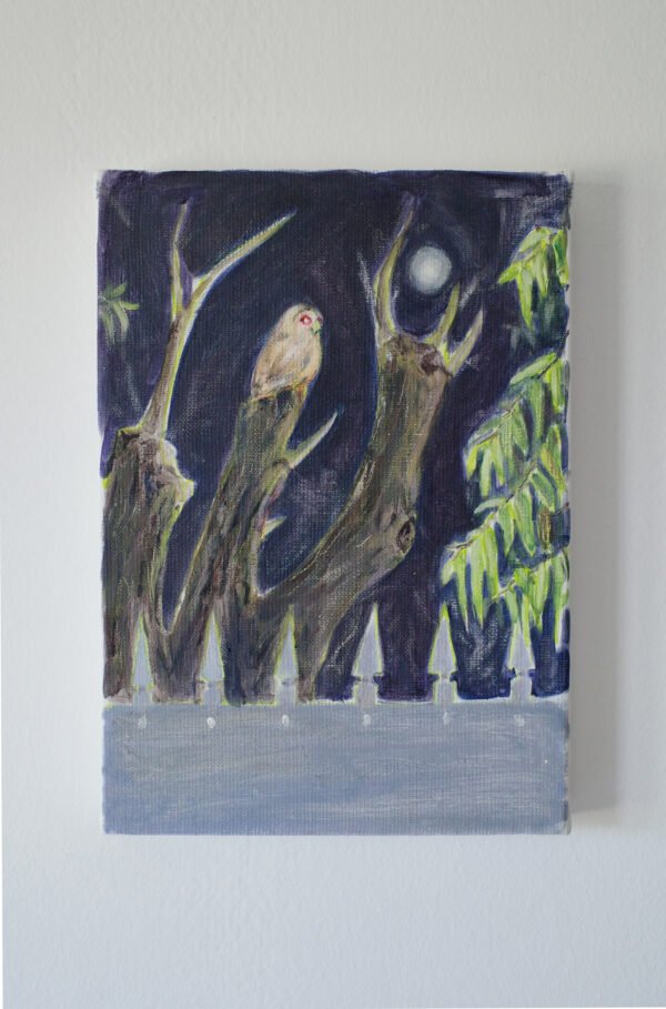 Chouette – Image 2