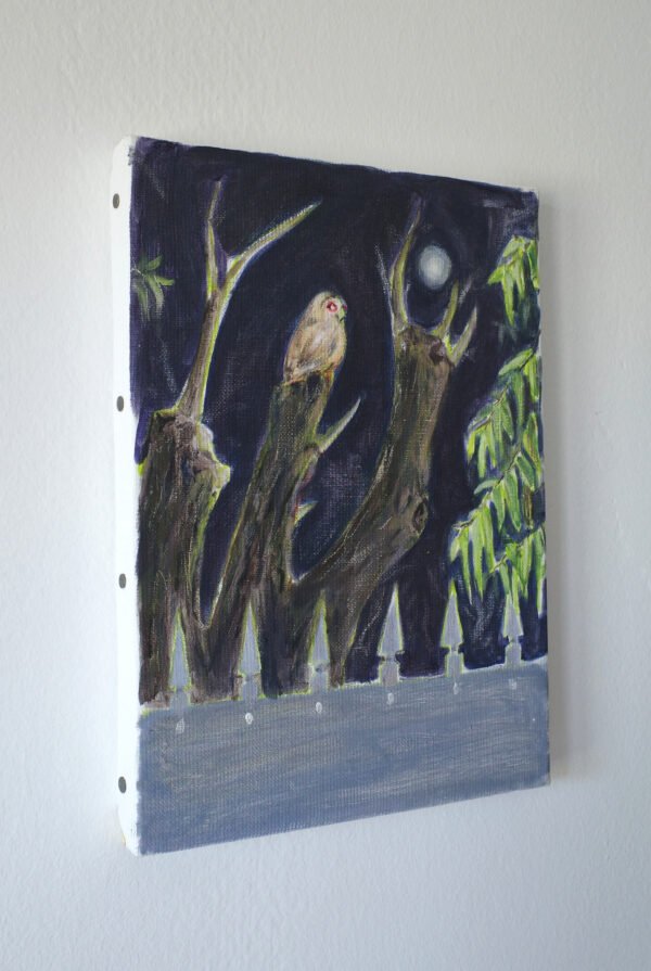 Chouette – Image 3
